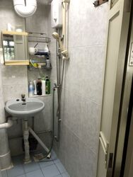 Holland Avenue (Queenstown),  #490983851